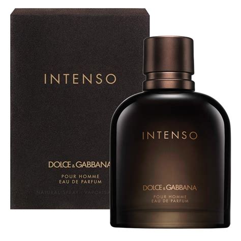 dolce gabbana pour homme smell|dolce and gabbana intenso men.